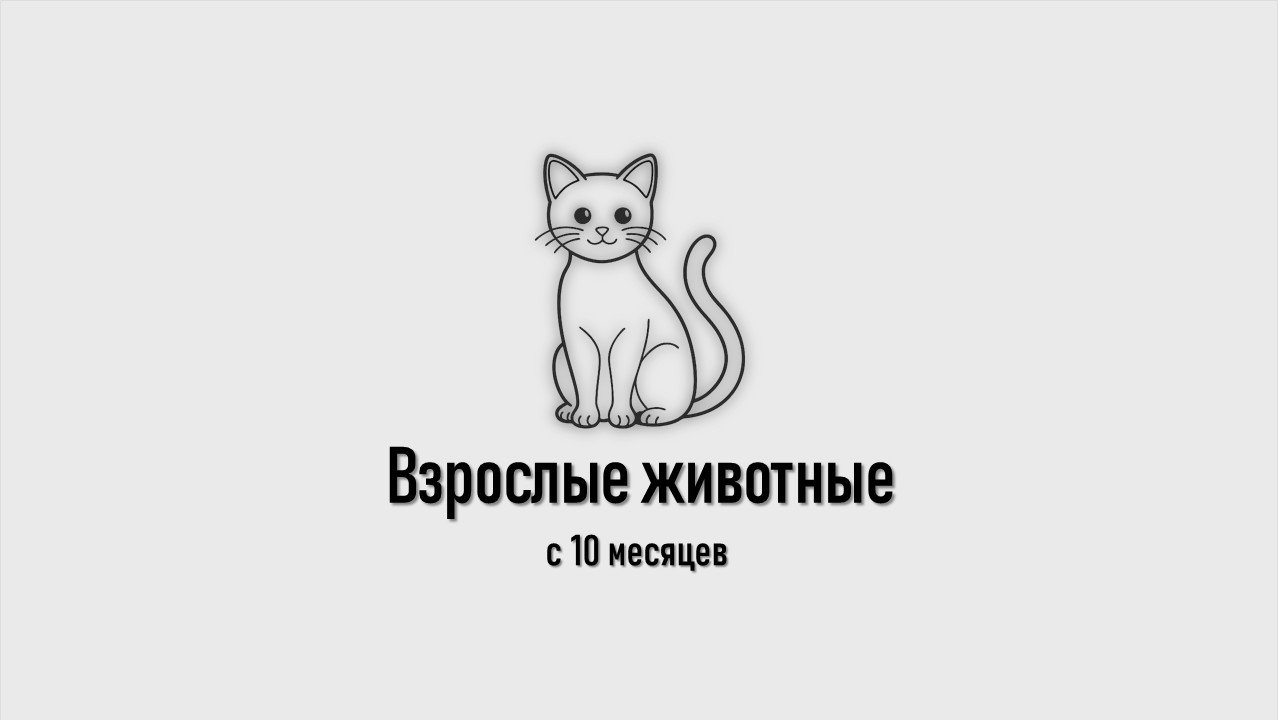 Взрослые животные