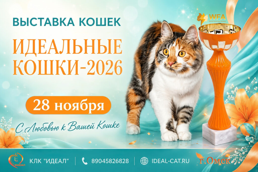 28-noyabrya-2026
